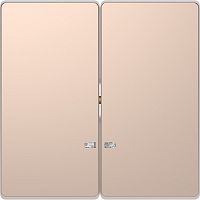 Лицевая панель Schneider Electric Merten D-Life для 2-кл. выключателя с подсветкой шампань картинка